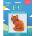 Anchor 1st Kit Cross Stitch Комплект за бродерия (3690000-10025)