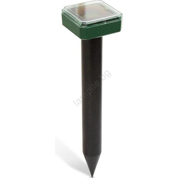 Garden of Eden 55635B