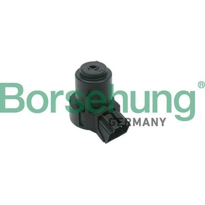 Spínač zapalování / startéru Borsehung B17994