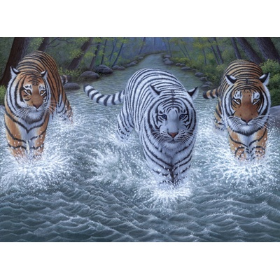 Malování podle čísel Tři tygři