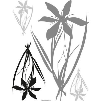 AG Design F-0443 Flora black grey, samolepka na zeď 65x85cm