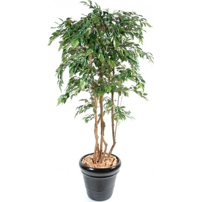 Luxusní umělý strom Ficus Multitree Natasja, 210cm