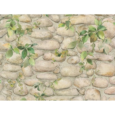 A.S. Création 834416 Papírová tapeta na zeď Dekora Natur rozměry 0,53 x 10,05 m