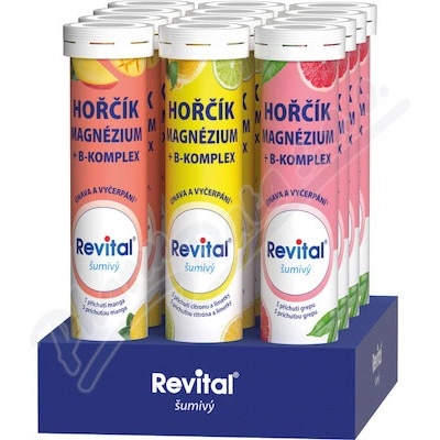 Vitar Revital Hořčík+B komplex box eff. 20x12 tablet