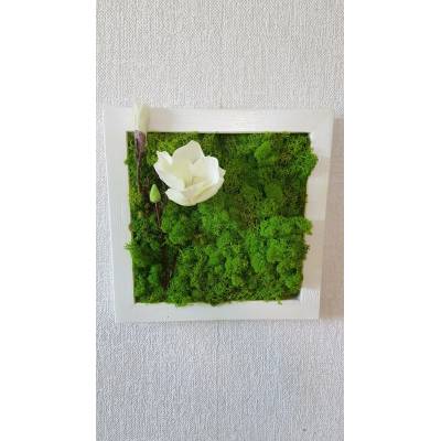 Mechový obraz v bílem rámu 33cm x 33cm