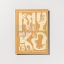 Myko - Jiří Dvořák