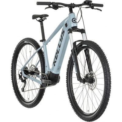 Kellys Tayen 10 P 2023