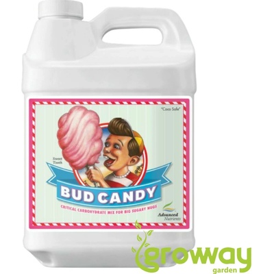 Advanced Nutrients Bud Candy 4 l