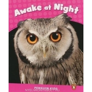 Level 2: Awake at Night CLIL | Laura Miller (2013)