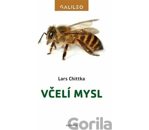 Včelí mysl