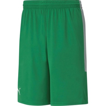 Puma Basket shorts