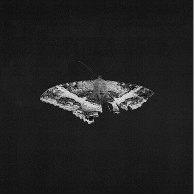 Kendrick Lamar - To Pimp A Butterfly (Anniversary Edition) (180 g) (2 LP) (0602478091186)