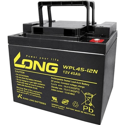 Long WPL45-12 12 V 45 Ah