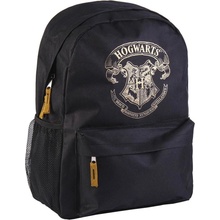 Cerdá Harry Potter 2432