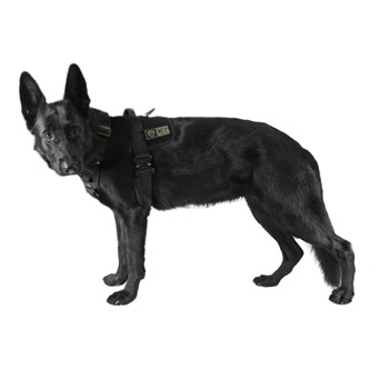Image 1 of K9 Thorn Нагръдник Delta, черен (0144/16.BLK)