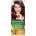 Garnier Боя за коса Garnier Naturals сметаново кафе №5 12