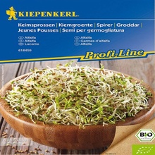 BIO Alfalfa - Lucerna - Medicago sativa - bio semená na klíčenie - 40 g