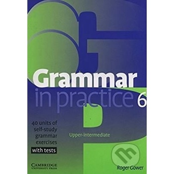 Grammar in practice 6
