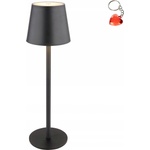 GLOBO Vannie 58438G