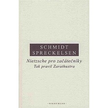 Nietzsche pro začátečníky: Tak pravil Zarathustra - Rüdiger Schmidt