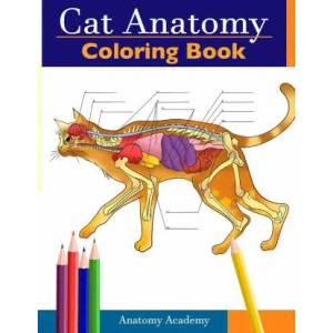 Cat Anatomy Coloring Book (ISBN: 9781914207488)