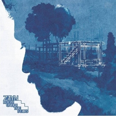 Zayn - Room Under The Stairs (Forest Green Coloured) (2 LP) (0602465250114)