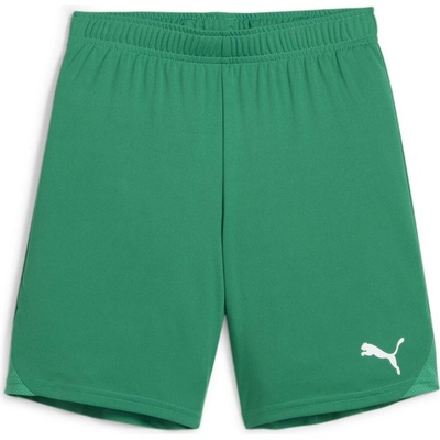 Puma teamGOAL Shorts