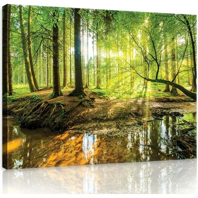 Postershop Obraz na plátně: Lužní les - 80x60 cm