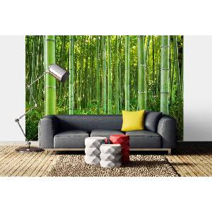 DIMEX ART Самозалепваща се флизелинова фототапета бамбукова гора 375 x 250 см