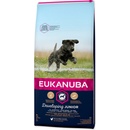 Eukanuba Junior Large 3 kg
