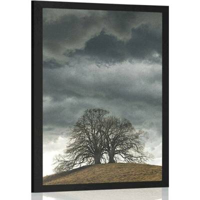 Plakát osamělé stromy - 20x30 silver