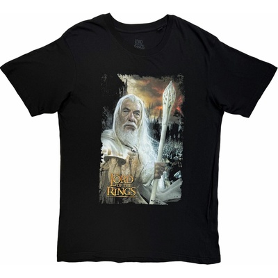 Lord Of The Rings Gandalf The White Homage