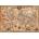 Educa - Puzzle Antique World Map II - 1 000 piese
