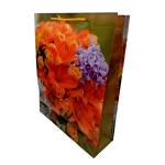Cangnan Color Bag Co. , Ltd Подаръчни торбички pvc 38 х 30 х 10 см. М13-047