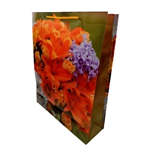 Cangnan Color Bag Co. , Ltd Подаръчни торбички pvc 38 х 30 х 10 см. М13-047