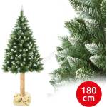 ELMA Коледна борова елха на стъбло, височина 180 см (ea0053)