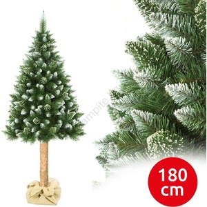 ELMA Коледна борова елха на стъбло, височина 180 см (ea0053)