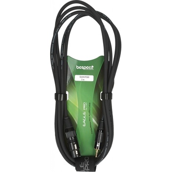 Bespeco EAMFX300