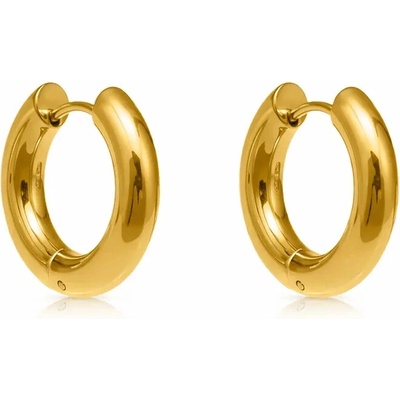 Šperky Eshop Ocelové náušnice zlaté barvy kruhy s hladkým povrchem, 20 mm Q04.14