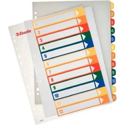 ESSELTE Register, plastový, A4 Maxi, 1-12, potlačiteľný, ESSELTE, priehľadný