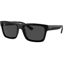 Ray-Ban Warren RB4396 667787