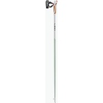 LEKI Passion 115 cm (65325251100)