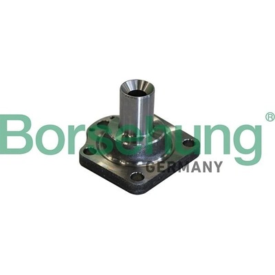 Náboj kola Borsehung B11291