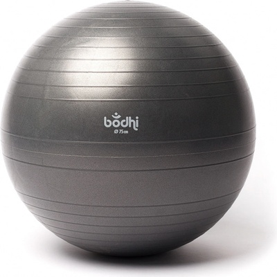 Bodhi Yoga FIT Escercise Ball 3 55 cm