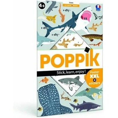 POPPIK Vzdělávací samolepkový plakát Žraloci