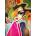 Magnolia - Puzzle Lerda: Autumn Beauty - 1 000 piese