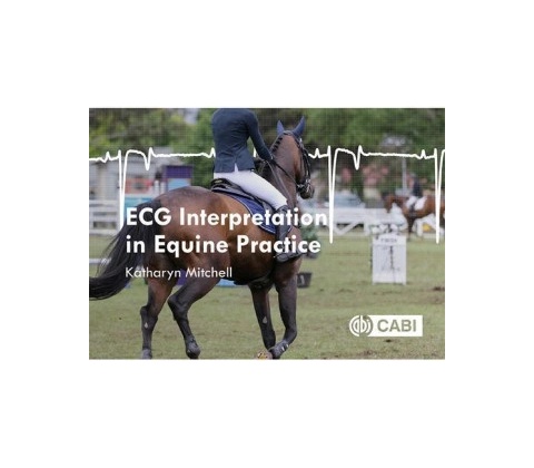 ECG Interpretation in Equine Practice