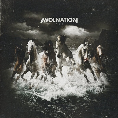 Awolnation - Run (2 LP) (0844942041635)