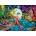 Ravensburger - Puzzle The Mermaid's Mysterious Treasure - 1 000 piese