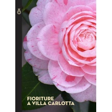 Fioriture a Villa Carlotta Andrea Tantardini